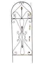 Iron Upside Down Trellis with Welded Stakes on Bottom