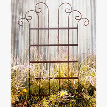 Wide Spin Trellis