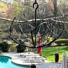 Hanging Branch Tree with Loop on Top