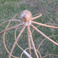 Twist Topiary with Cast Ball On Top