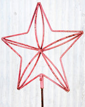 3-D STAR STAKE