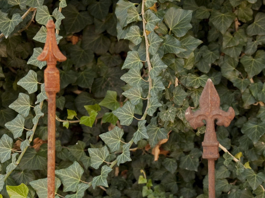 Connecting Stake on Right