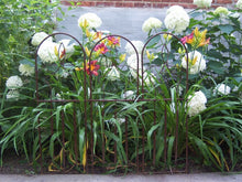 38" Wide Flat Bar Fence 35"tall after staking into ground