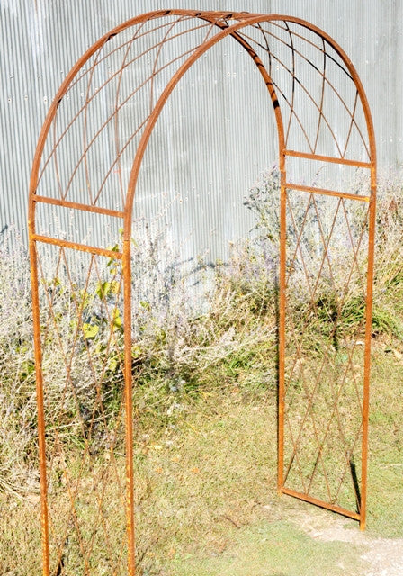 Lattice X's Arch Rounded Top
87