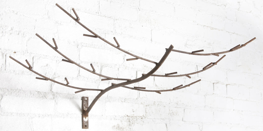 Plain Limb