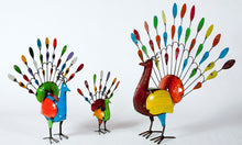 Set of 3 Peacocks
25"h x 28"w, 48"h x 43"w