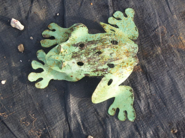 SET OF 3 FROG