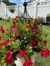 Topiary with Ball Finial