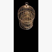 Wrought Iron Bird Cage Style Obelisk with Decorative Sphere