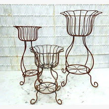 Sally Daisy Wrought Iron Graduated Sizes Planters Set of 3