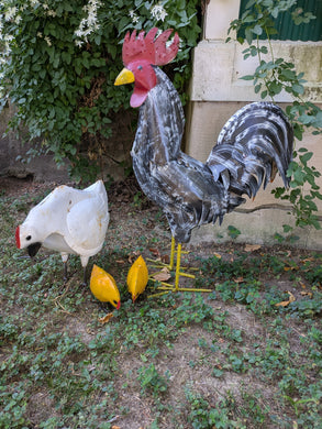 Rooster & Hen Set & Baby Chicks