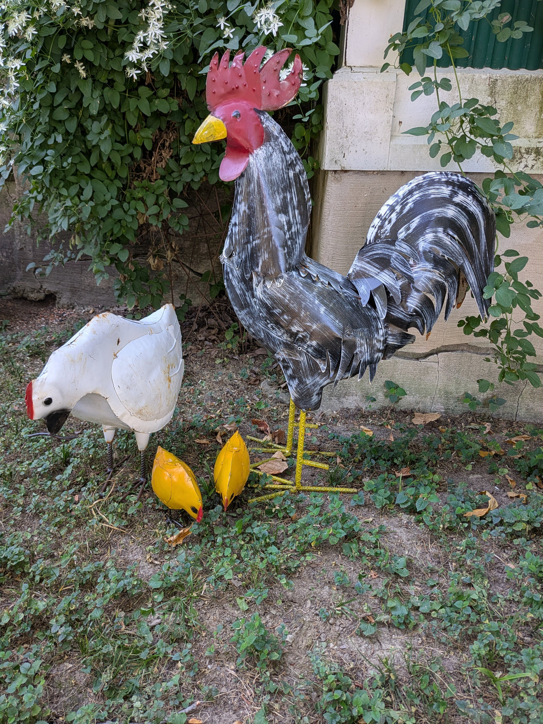 Rooster & Hen Set & Baby Chicks