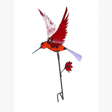 Colorful Hummingbird with Flower Stake
