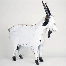 RE-USED METAL GOAT
