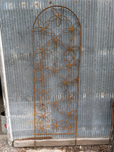 Rounded Top Daisy Trellis