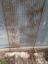 Rounded Top Daisy Trellis