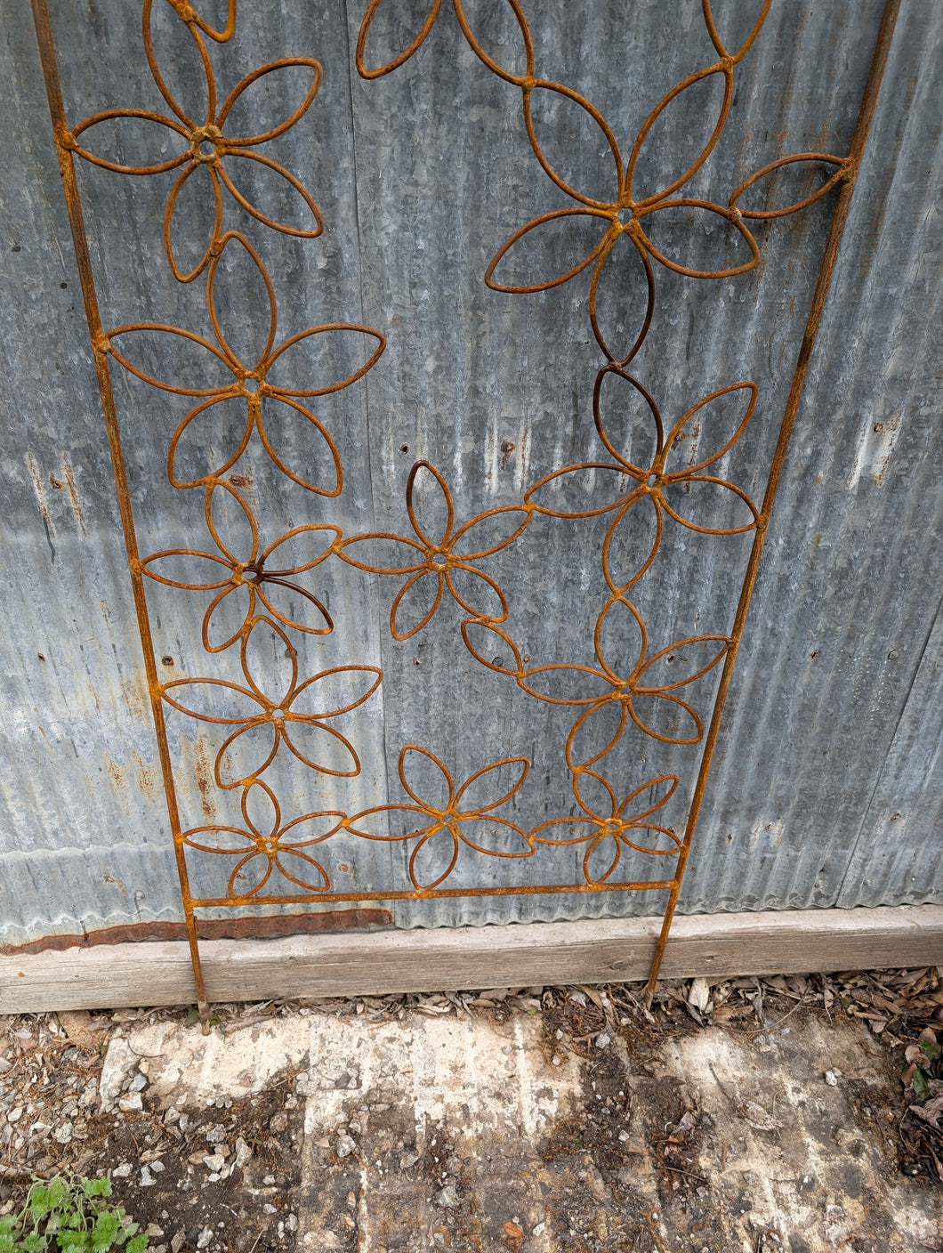 Rounded Top Daisy Trellis