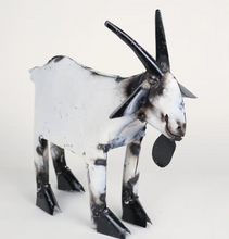 Sm. Tin Goat