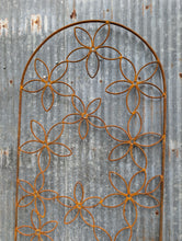 Rounded Top Daisy Trellis