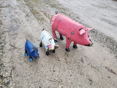PIG9G