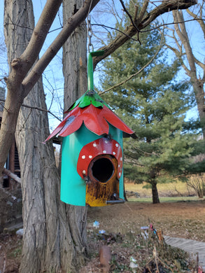 Bird House