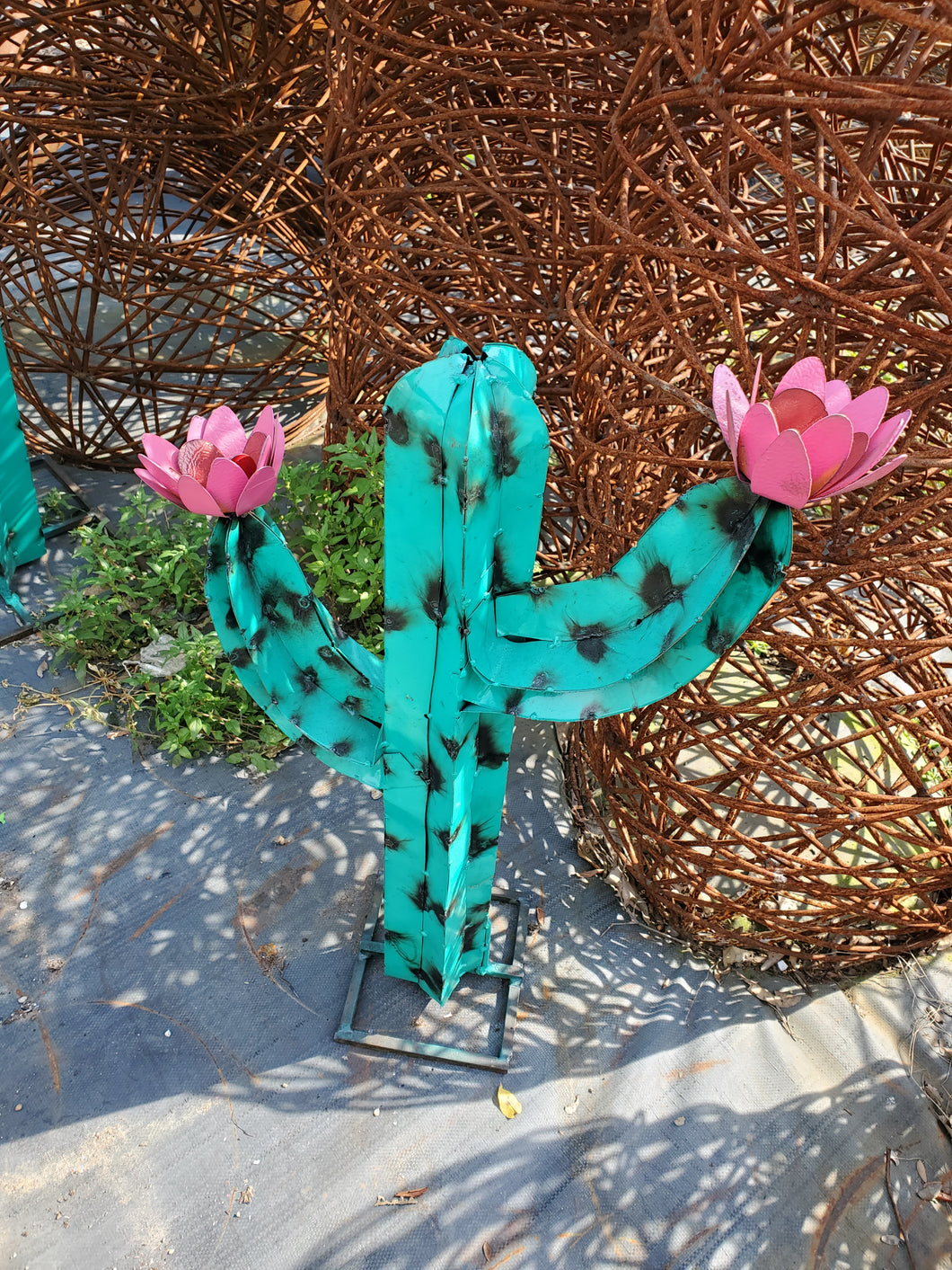 Set of 3 Cactus