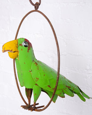 Hanging Parrot