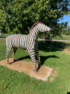 Zebra3
