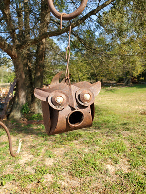 Owl Birdhouse with Marble Eyes
