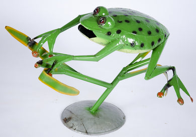Jumping Frog with Spots
21
