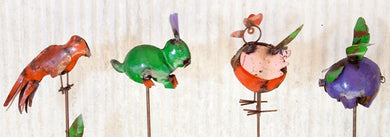 Mixed Animals 36