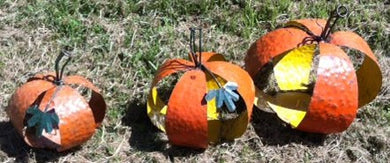 Set of 3 Orange Open Pumpkin
with spike in center for candle or arrangement 
Sm 12