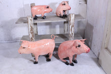 Set of 4 Salmon Pigs