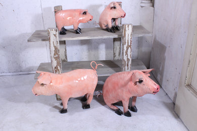 Set of 4 Salmon Pigs