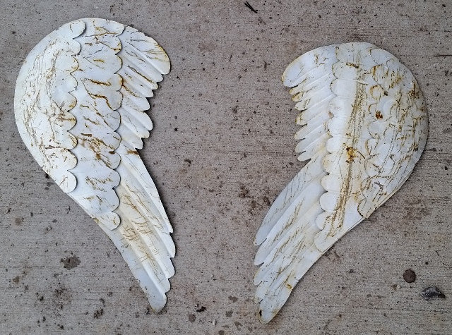 Pair of Wings
20
