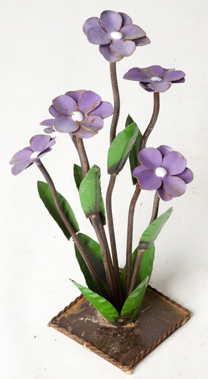 Purple Daisy Flowers