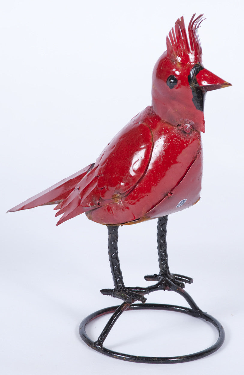 Red Cardinal Standing Bird
13
